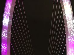 -南京眼步行桥