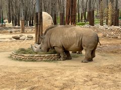 -北京野生动物园