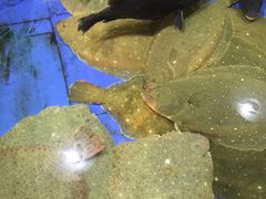 -山东八大碗山东老字号