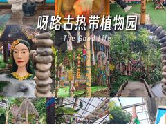 -呀路古热带植物园