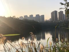 -重庆彩云湖湿地公园