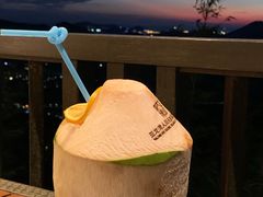 -三亚亚龙湾人间天堂鸟巢度假村