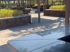 -春花秋色城市公园