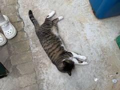 -苏州工学院(东湖校区)