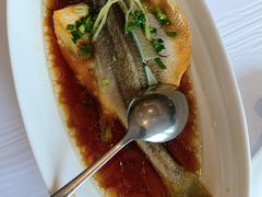 -骏莱海鲜鱼港(五角场店)