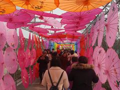 -武汉紫薇都市田园