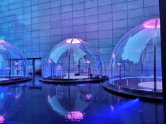 -异次元·LIGHT HOUSE·美食酒廊·休闲露台