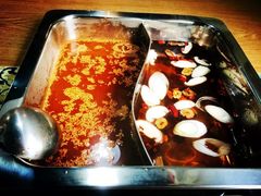 鸳鸯中辣锅底-楠同学辣糊糊