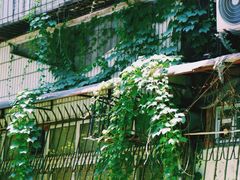 -宝岛公园