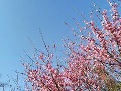 -广富林郊野公园