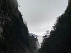 -黄山风景区