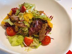 特色牛肉有机蔬菜沙拉-燃扒房Steakhouse(皇庭店)