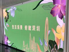 -平安金融中心云际观光层