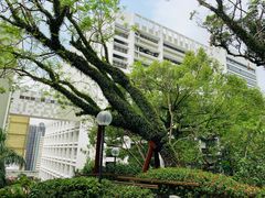 -香港大学