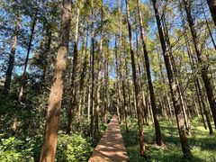 -同里国家湿地公园