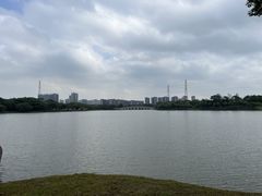 -顺峰山公园