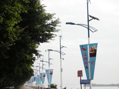 -大湾区中央湿地公园-十九涌