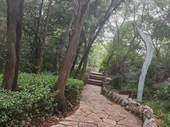 -云龙山