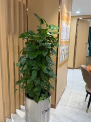 -南京康美美容医院·旗舰店