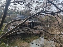 -水绘园