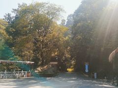 -终南山南五台景区