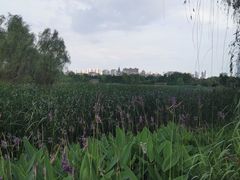 -武汉园博园(武汉自然博物馆)