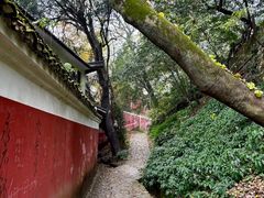 -岳麓山风景名胜区