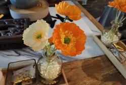 -琦品高端美容SPA私佳美场