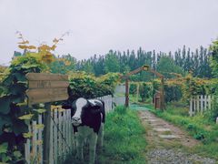 -安德鲁户外烧烤帐篷营地(马泉营店)