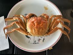 -阳澄湖半岛旅游度假区