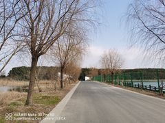 -同里国家湿地公园