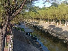 -大望京公园