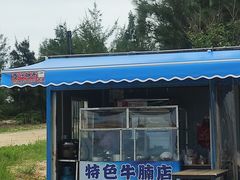 -汕尾风车岛
