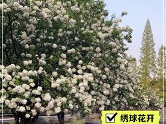 -明故宫遗址公园
