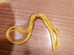 -有礼有面(知春路店)