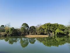 -西溪国家湿地公园