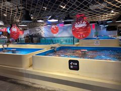 水产区-日进一片海.生腌海鲜火锅.宵夜烧烤(三里屯总店)