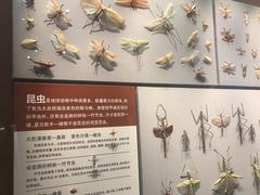 -天津自然博物馆