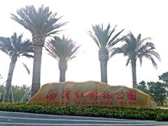 -宝安西湾红树林湿地公园