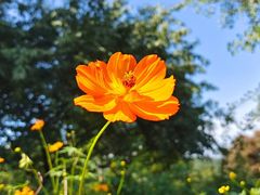 -永定河休闲森林公园