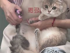 -四月宠物医院·猫专科·心脏专科·内科(转塘店)