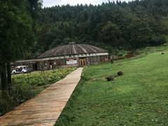 -武陵山森林公园