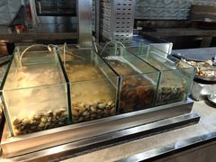-烟台中泽华羿铂尔曼酒店·汇·全日餐厅·高空海景自助