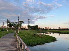 -洋湖国家湿地公园