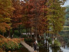 -重庆彩云湖湿地公园