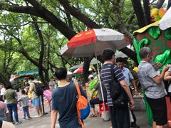 -晓港公园