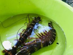 -班赞海鲜市场