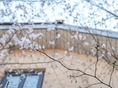 -颐和路民国时期公馆风貌区