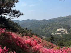 -木兰云雾山
