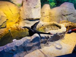 -酷嗒动物文化乐园(cutezoo西溪乐天城店)